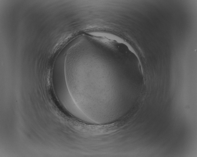 X0000076330023200610201716