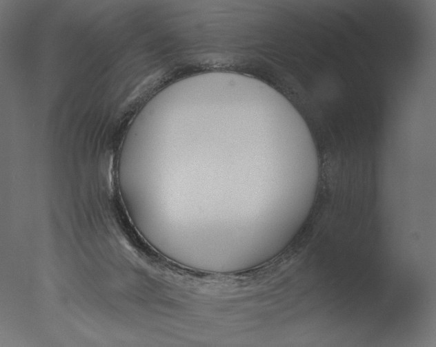 X0000076330024200610201716