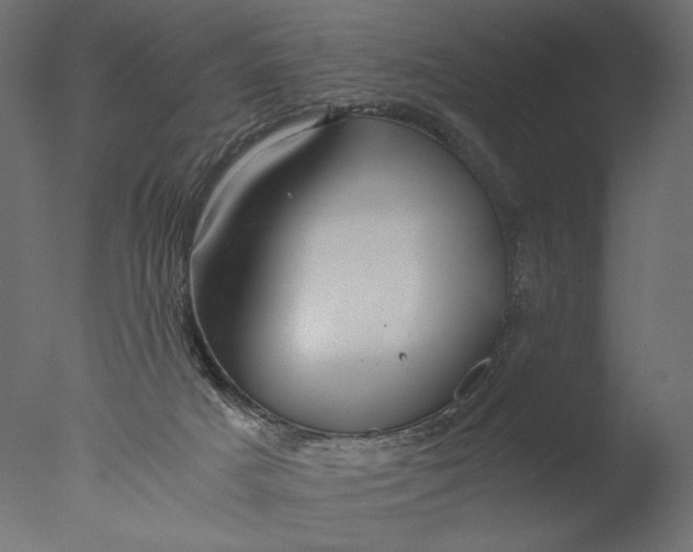 X0000076330025200610201716
