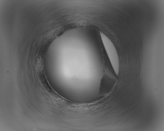 X0000076330029200610201716