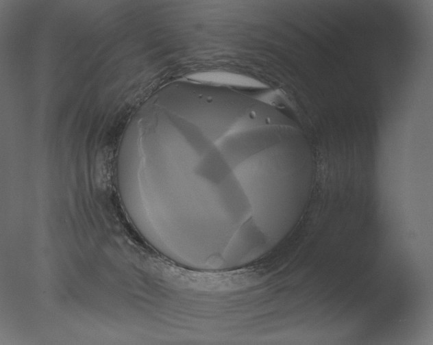 X0000076330030200610201716