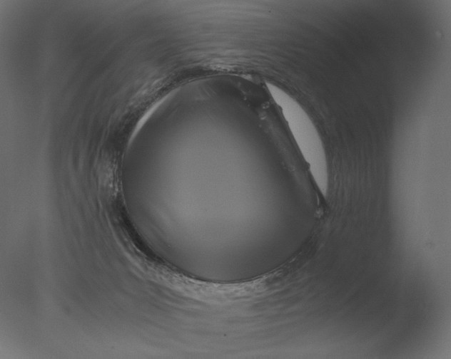 X0000076330031200610201716