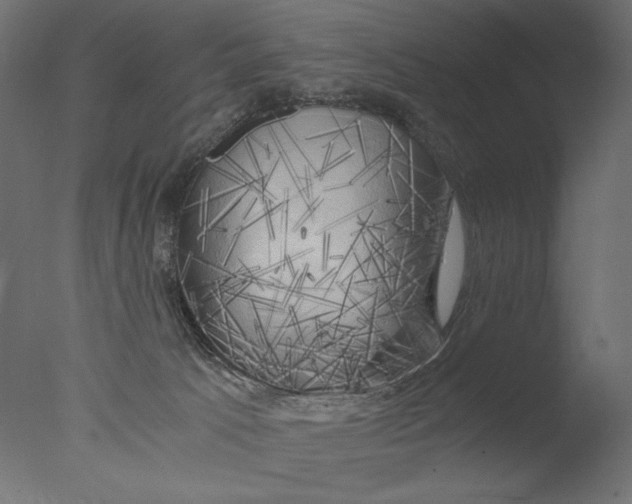 X0000076330033200610201716