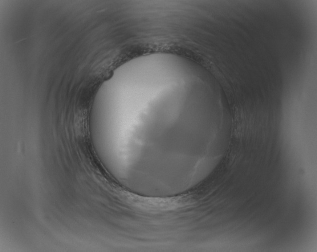 X0000076330034200610201716
