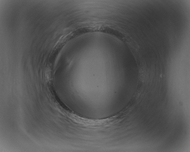 X0000076330035200610201716