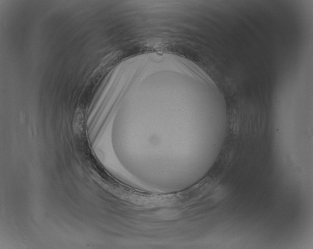 X0000076330036200610201716