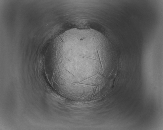 X0000076330037200610201716