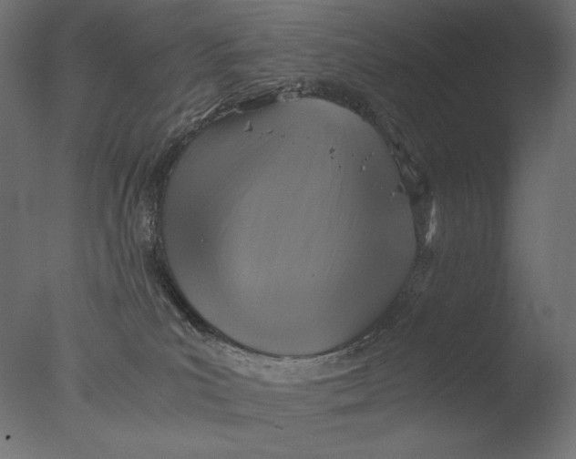 X0000076330039200610201716