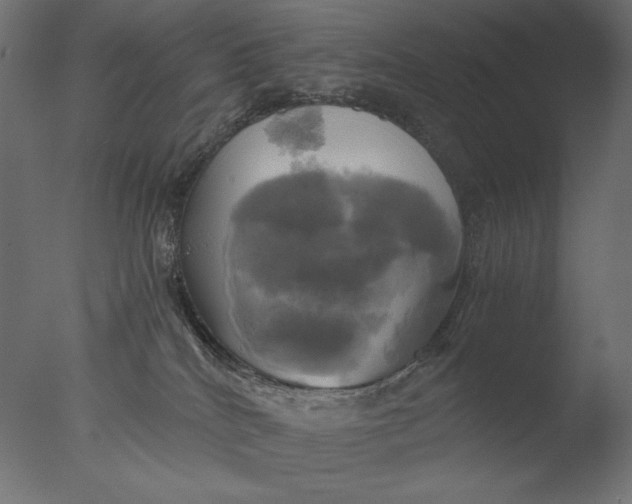 X0000076330040200610201716