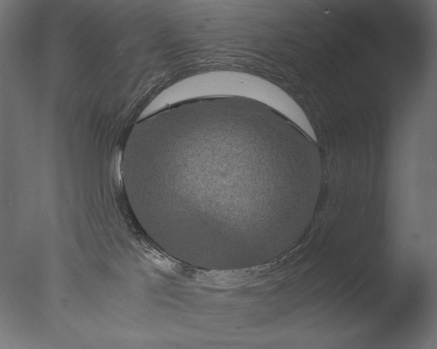 X0000076330041200610201716