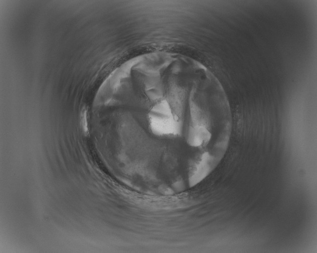 X0000076330042200610201716
