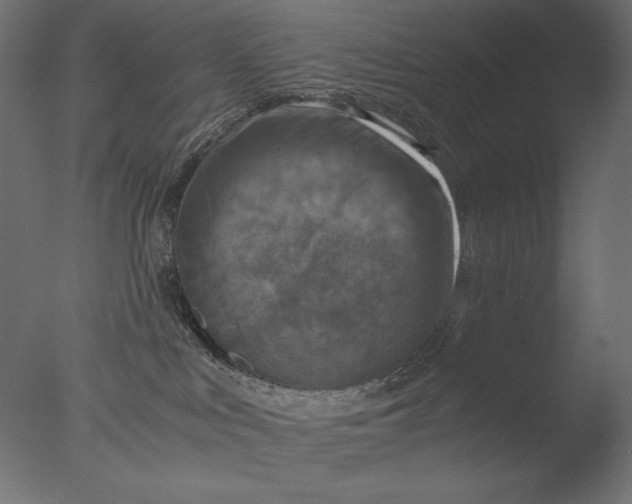 X0000076330043200610201716