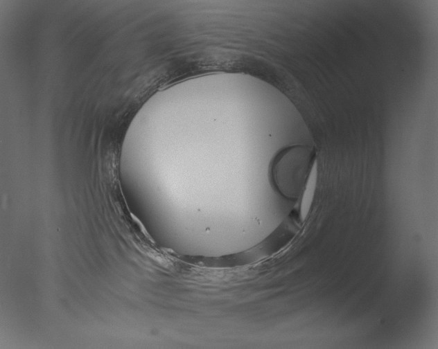 X0000076330045200610201716