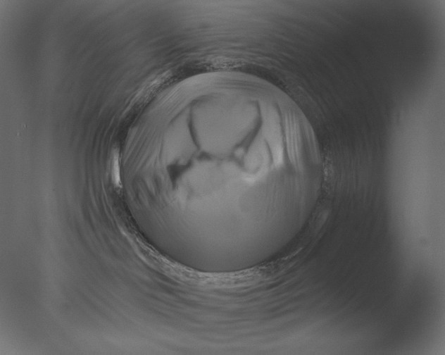 X0000076330046200610201716