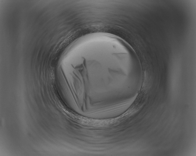 X0000076330048200610201716