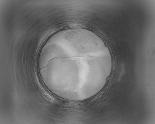 X0000076330049200610201715