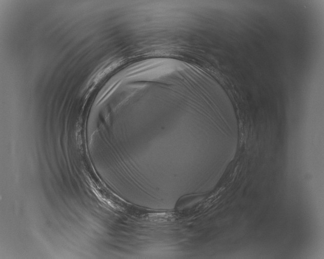 X0000076330050200610201715