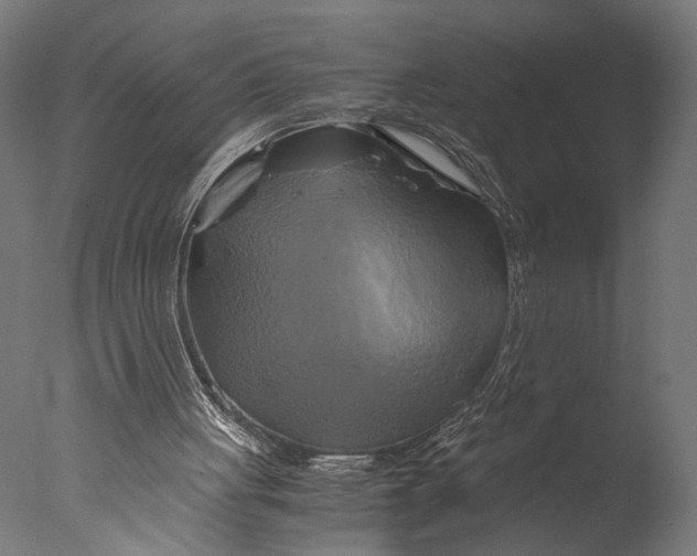 X0000076330051200610201715
