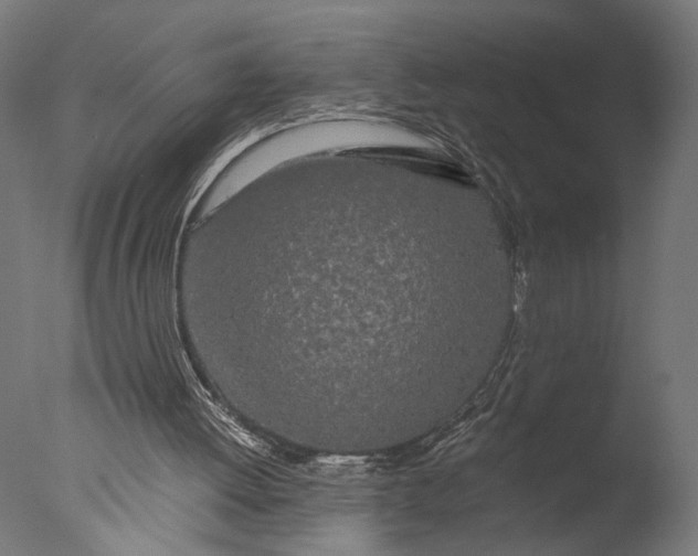 X0000076330052200610201715