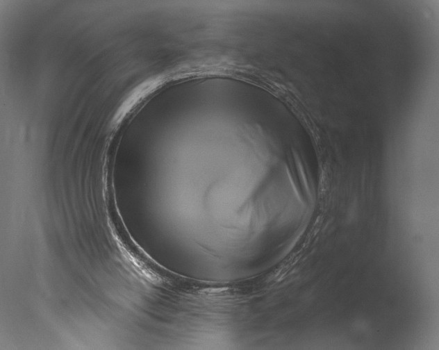 X0000076330054200610201715