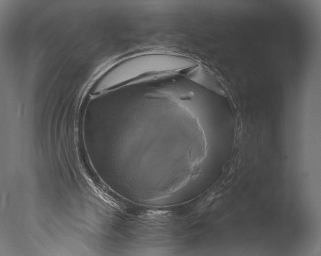 X0000076330055200610201715