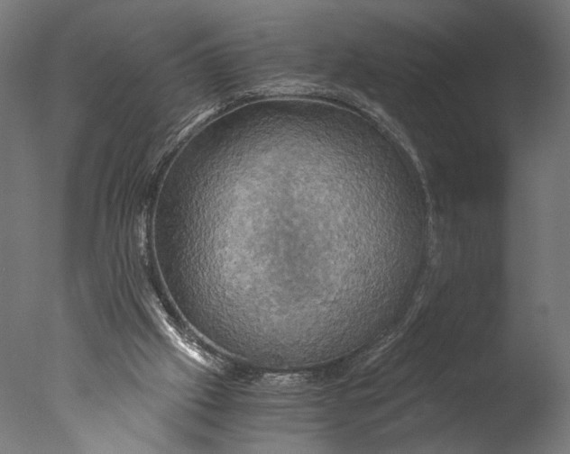 X0000076330057200610201715