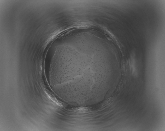 X0000076330059200610201715