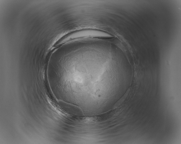 X0000076330060200610201715
