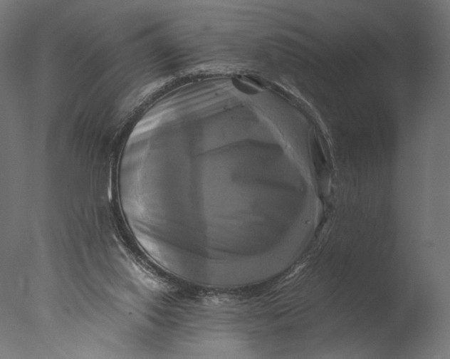 X0000076330062200610201715