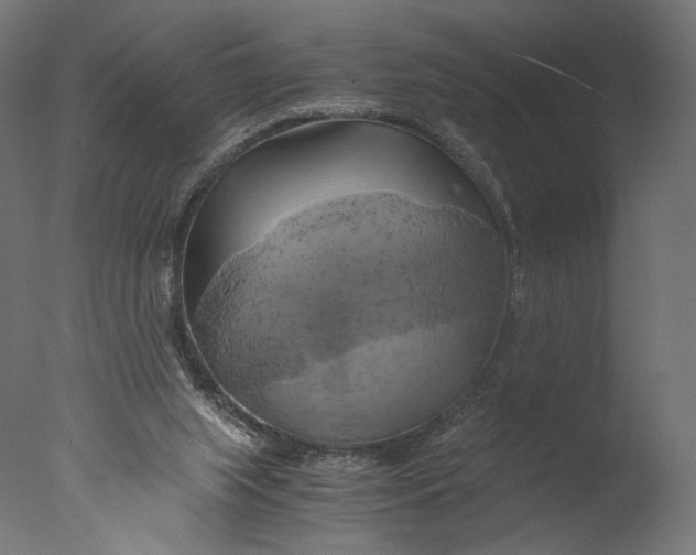 X0000076330063200610201715
