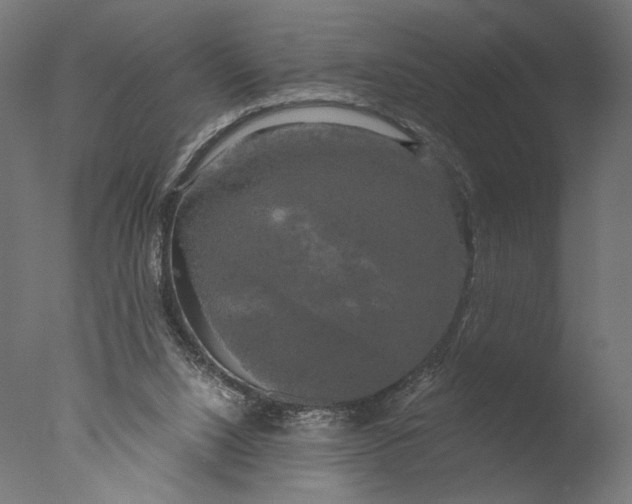 X0000076330064200610201715