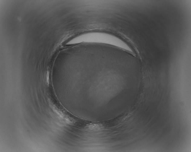 X0000076330067200610201715
