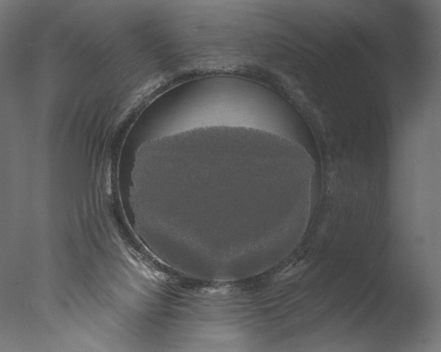 X0000076330068200610201715