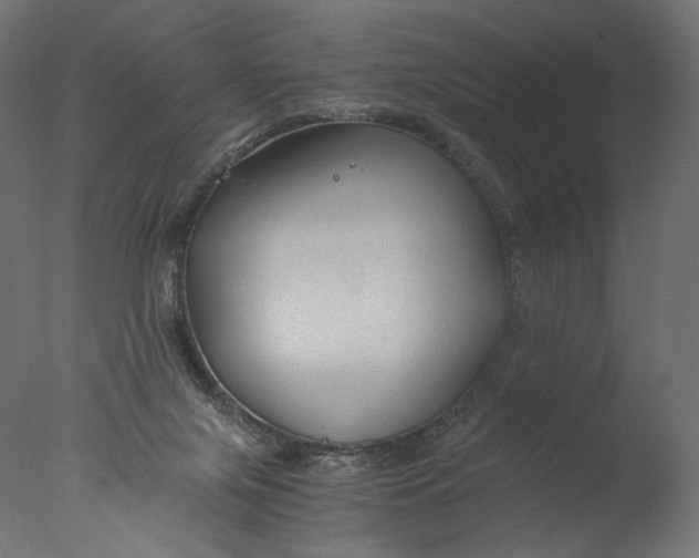 X0000076330071200610201715