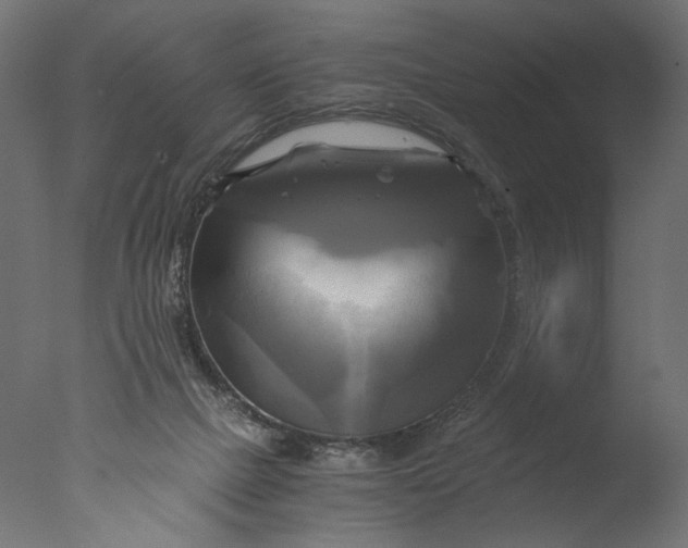 X0000076330073200610201716