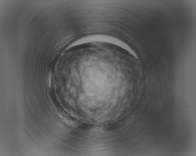 X0000076330076200610201716