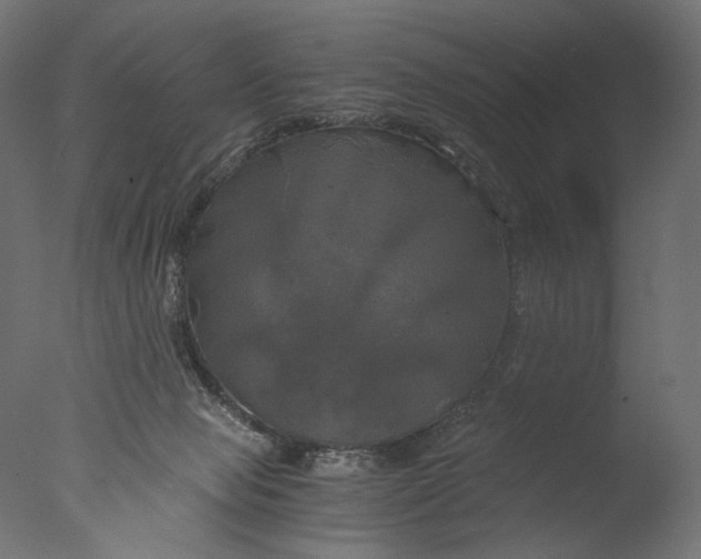 X0000076330077200610201716