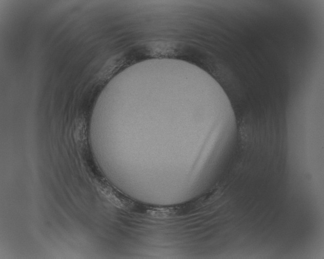 X0000076330079200610201716
