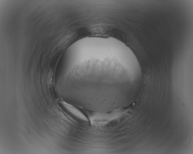X0000076330081200610201716