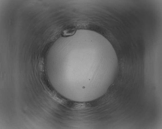 X0000076330083200610201716