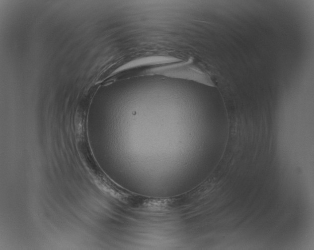 X0000076330084200610201716