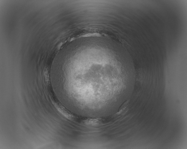 X0000076330086200610201716