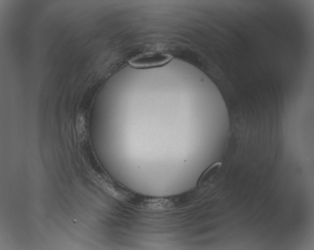 X0000076330087200610201716