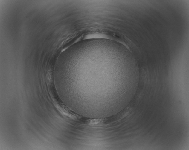 X0000076330088200610201716