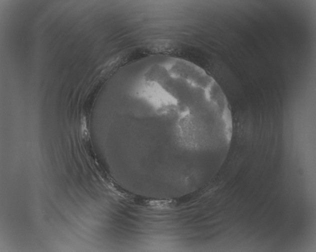 X0000076330089200610201716