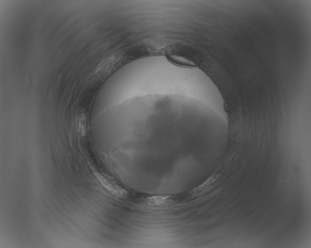 X0000076330090200610201716