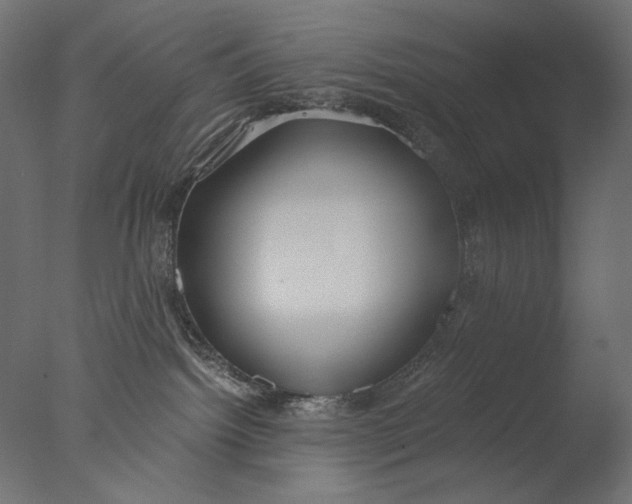 X0000076330092200610201716