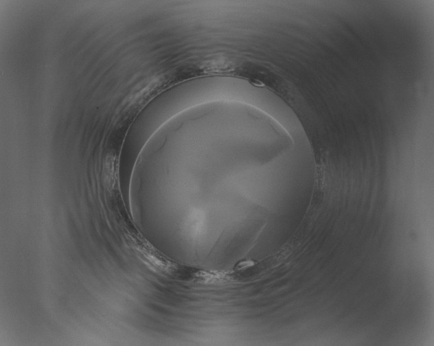 X0000076330093200610201716