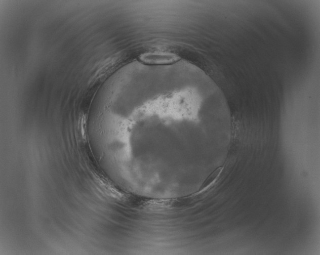 X0000076330094200610201716