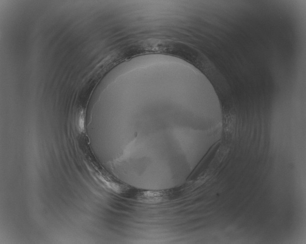 X0000076330095200610201716